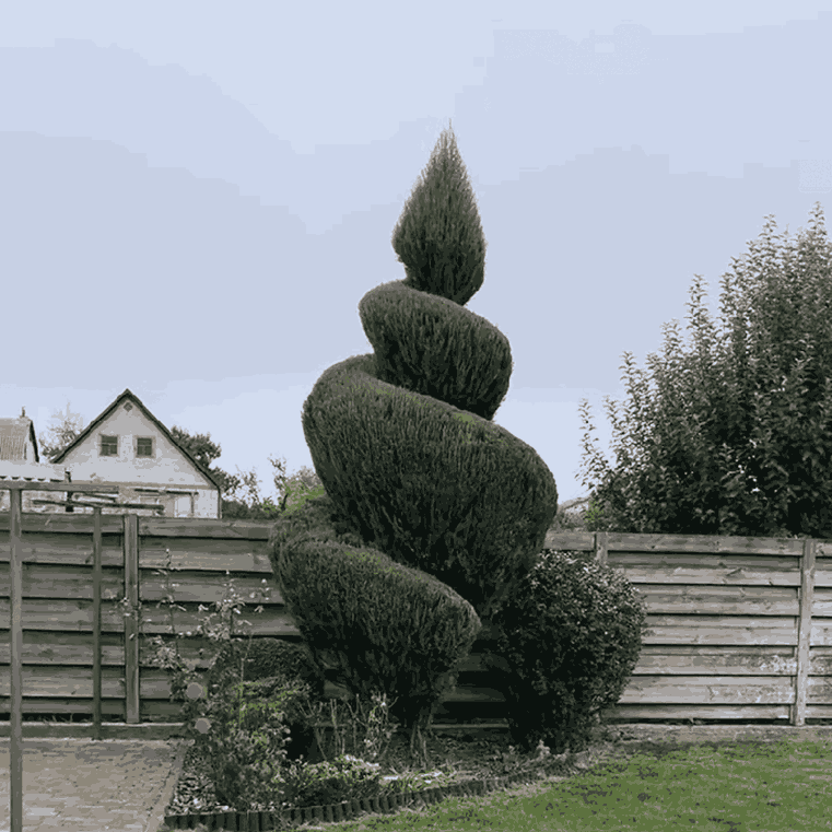 Професійний догляд за садом